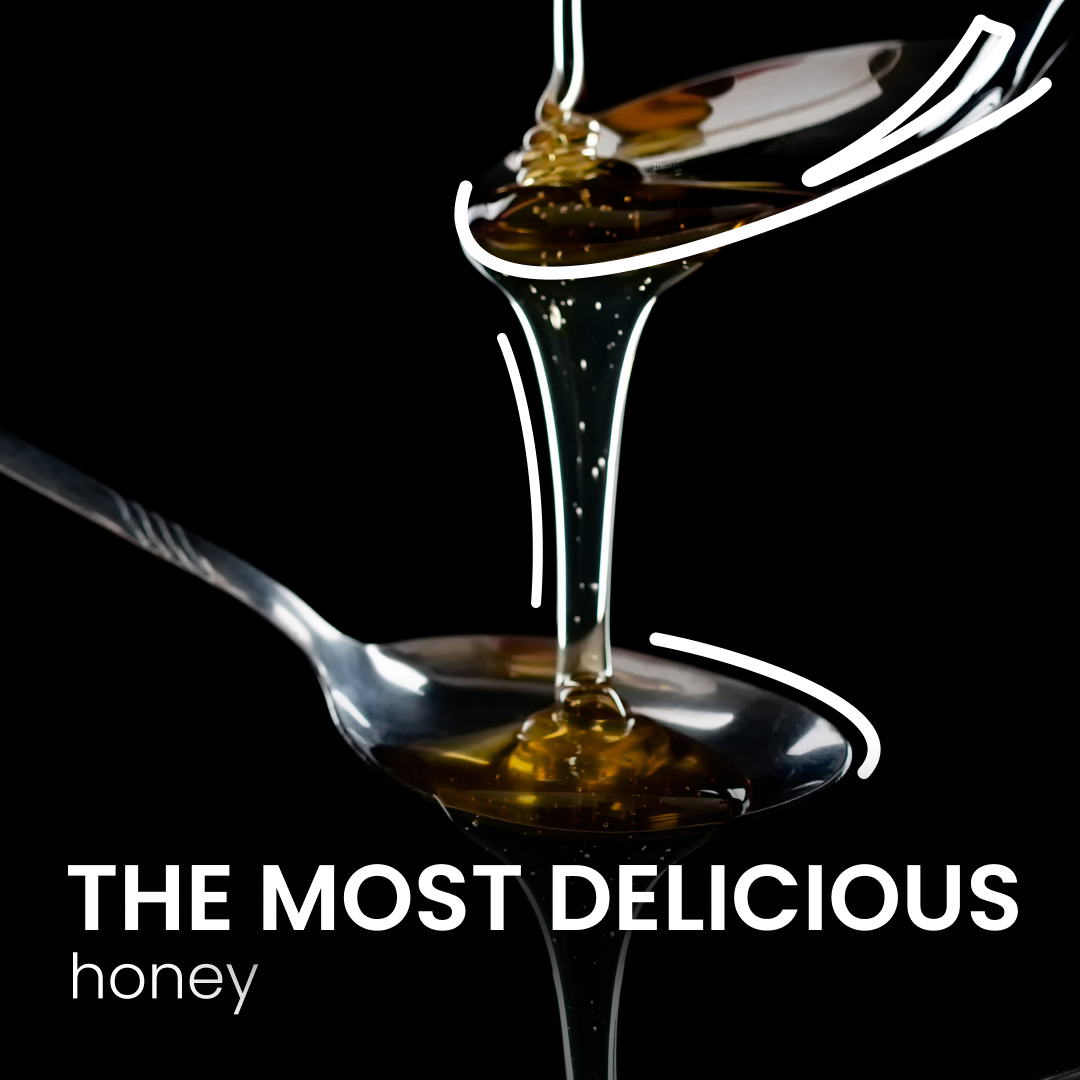 Exploring the World of Honey: What Is the Most Delicious Honey?