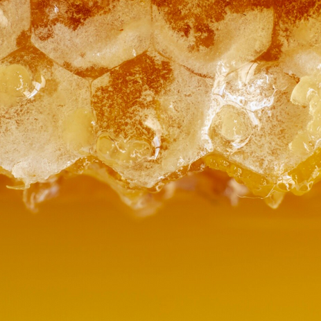 Unlocking the Sweet Secret: What is Honey Made Of?