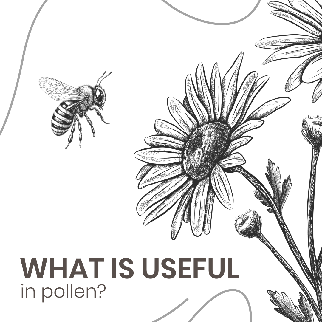 Unveiling the Hidden Treasures: What Makes Pollen Useful and Why Topanga Quality Honey Stands Out