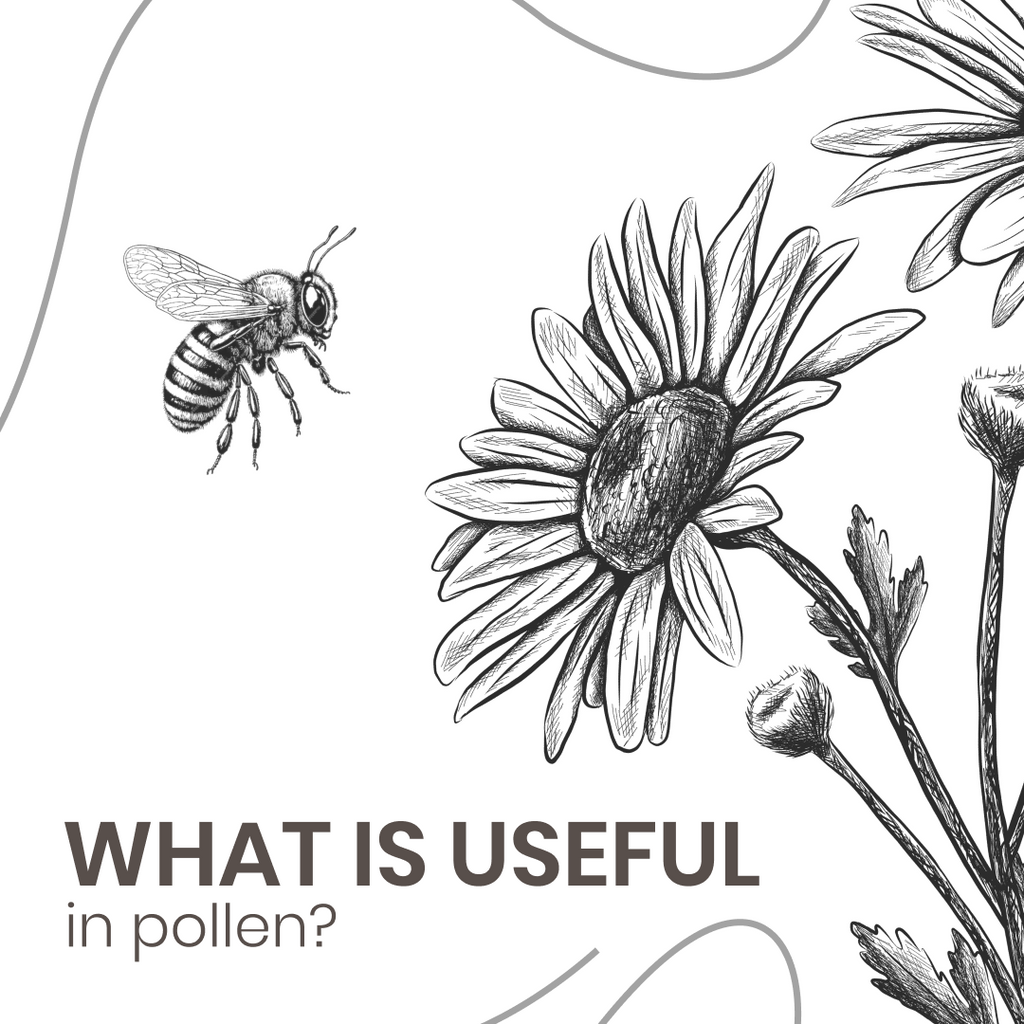 Unveiling the Hidden Treasures: What Makes Pollen Useful and Why Topan