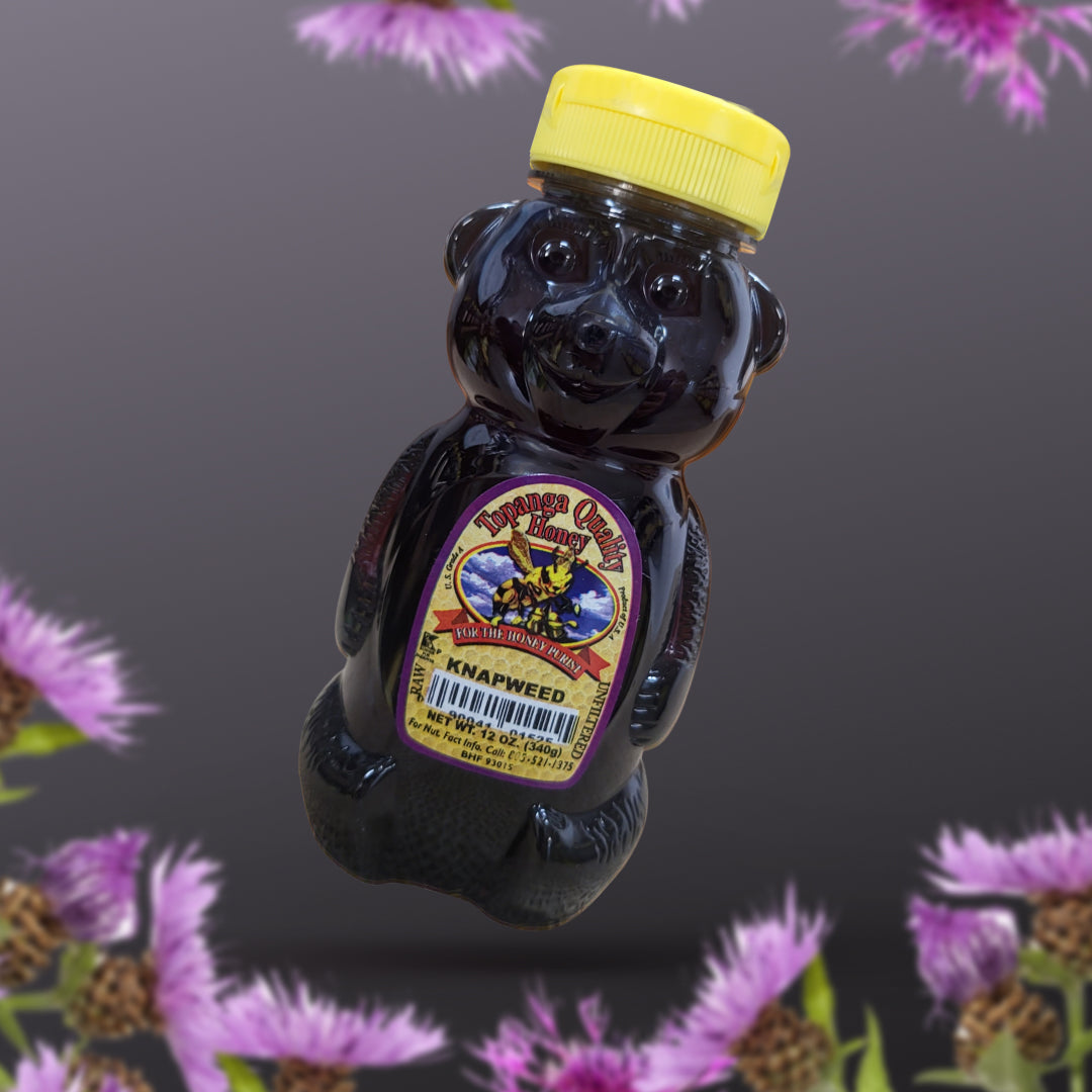 Knapweed Honey Bear: Nature's Golden Elixir